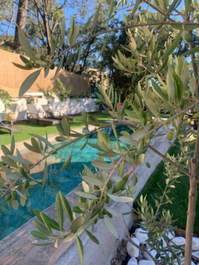 Un jardin en ville